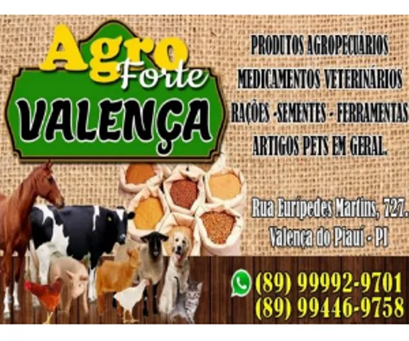 Do autor