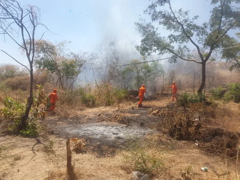 Incêndio em vegetação ameaça residências e mobiliza Corpo de Bombeiros em Valença do Piauí